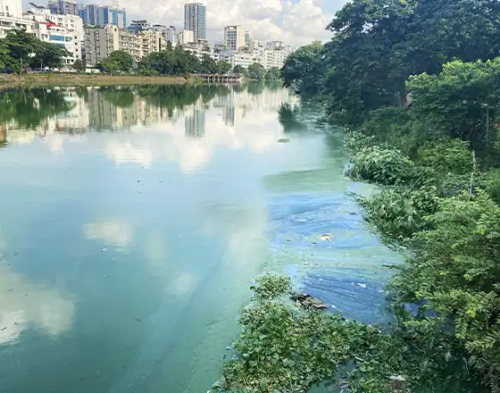 A scenic view of a river surrounded by lush greenery with city buildings in the background, showcasing urban nature and environmental beauty in Bangladesh.