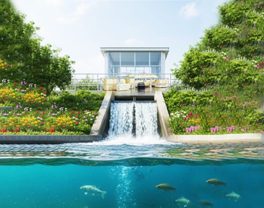 Treated water reuse from the sewage treatment plant, supporting aquatic life by Daiki Axis Bangladesh