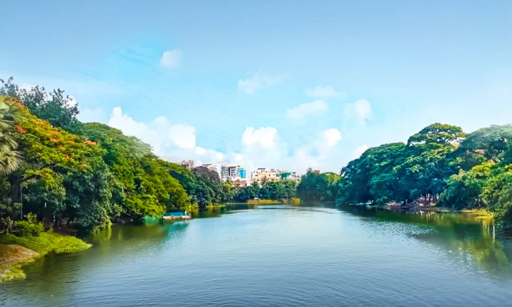 Clean water body restored through proper sewage treatment and environmental protection